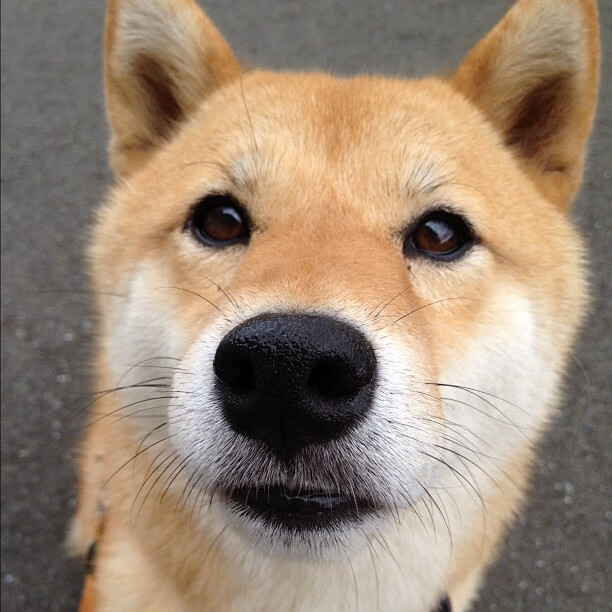 爱游戏大厅-俱乐部财务现状：谁是真正的巨头？，俱乐部财务制度